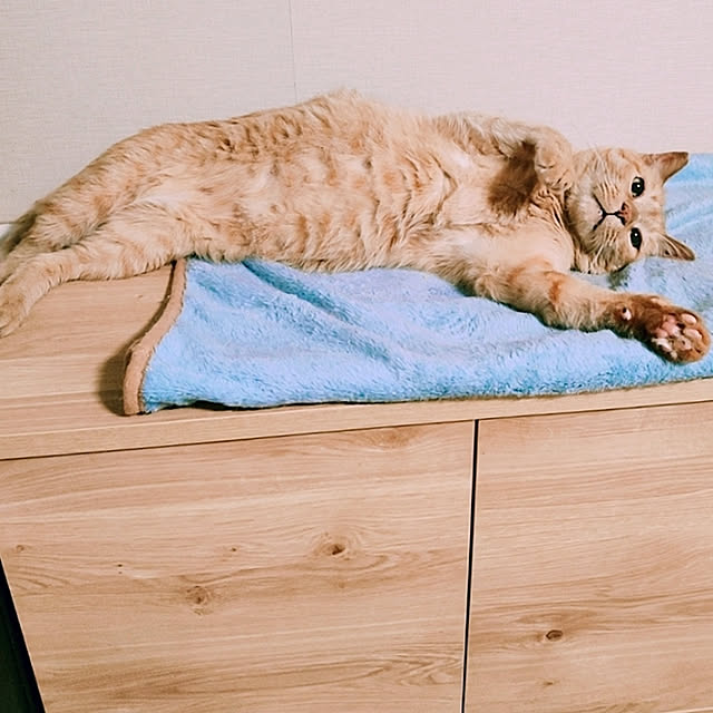 kirakirahikaruさんの実例写真
