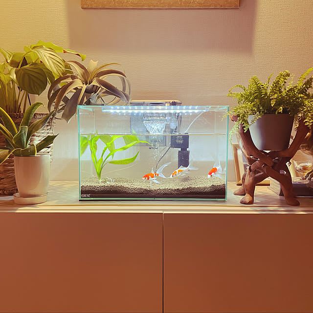 sanさんの実例写真