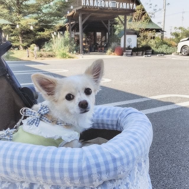 PAOさんの部屋