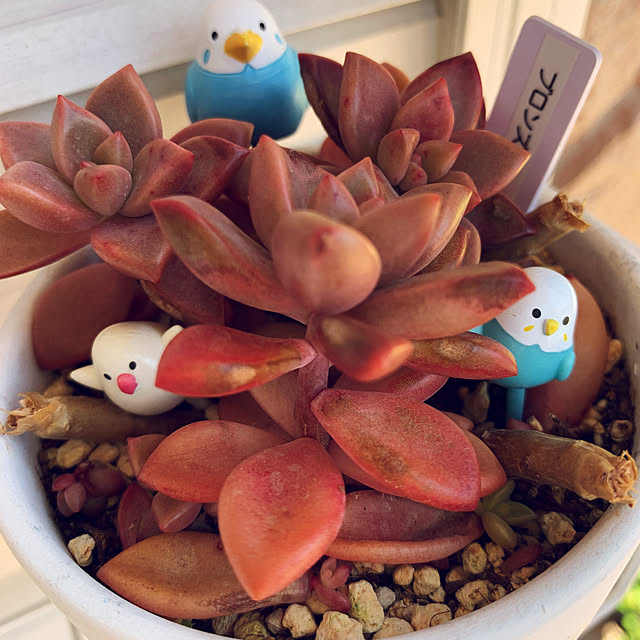 yumi.fさんの部屋