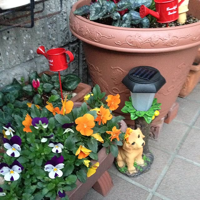 yumicyanさんの実例写真