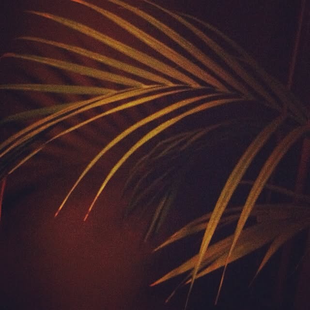 mstさんの実例写真