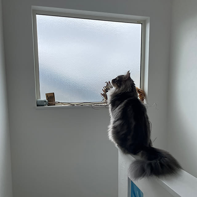 mayumiさんの部屋