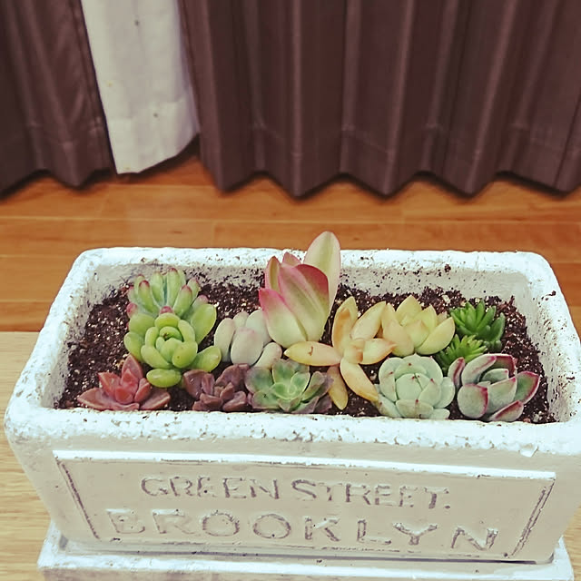 Miyakoさんの実例写真
