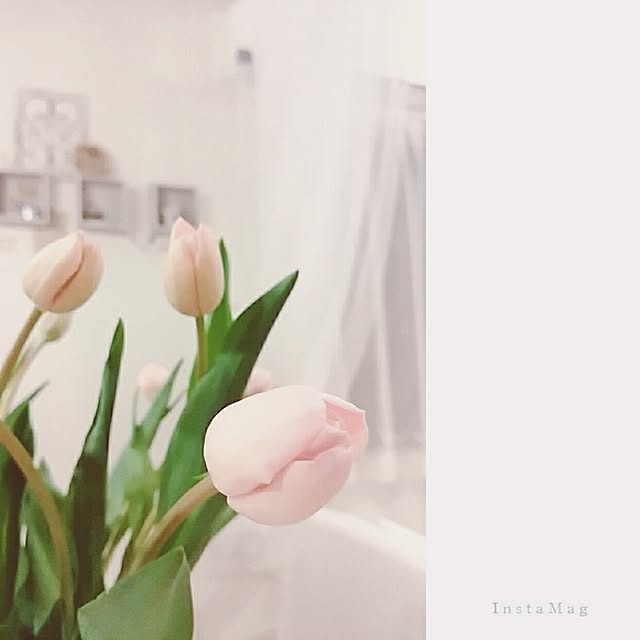 mikaさんの実例写真