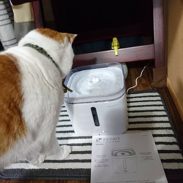 porinさんの実例写真