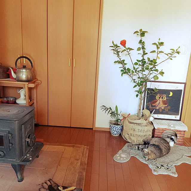 komgi12さんの実例写真