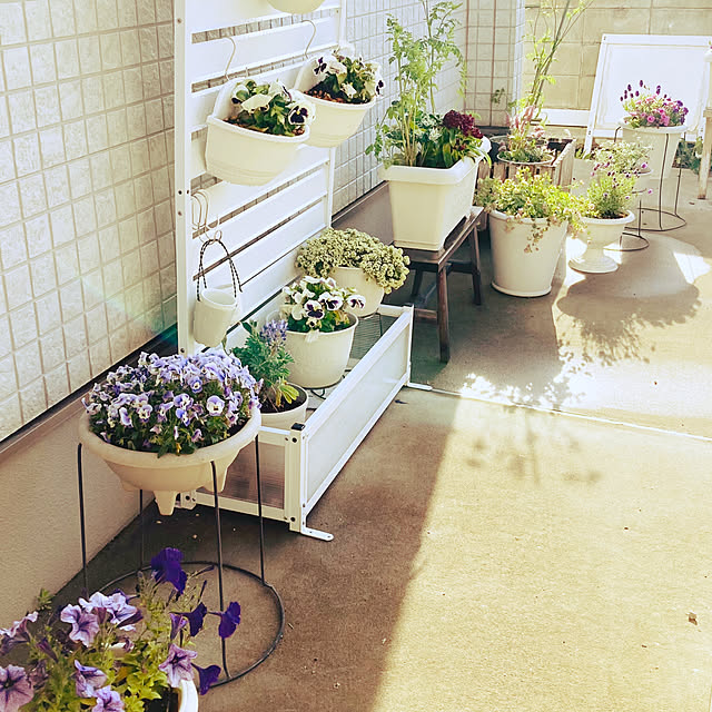 minminさんの部屋
