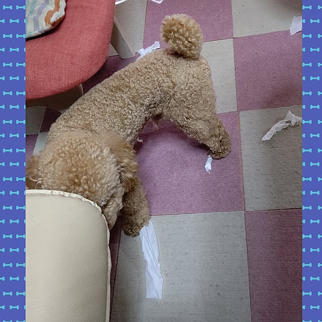 yumirinさんの部屋