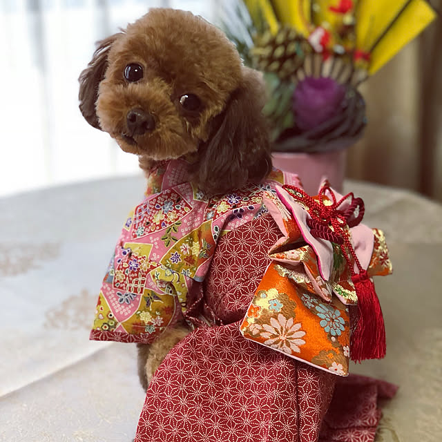 Tiaraさんの実例写真