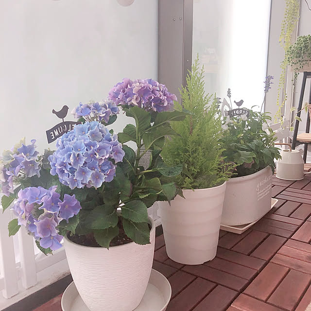 tina_sa_0さんの実例写真