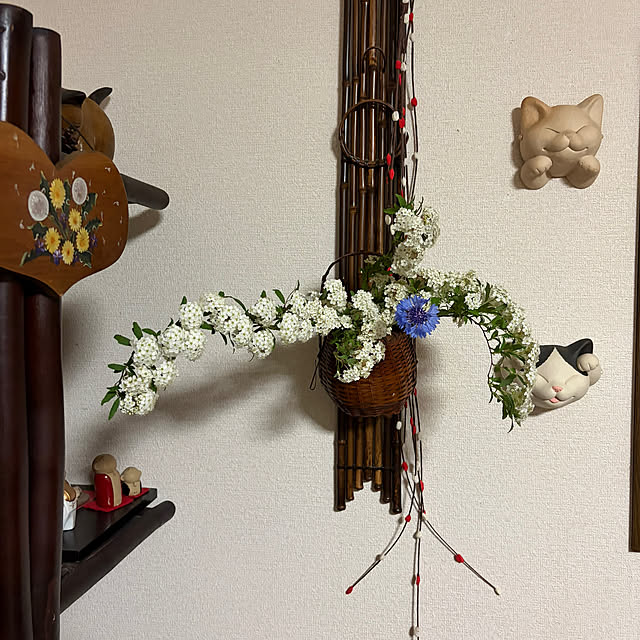 ritsukoさんの部屋