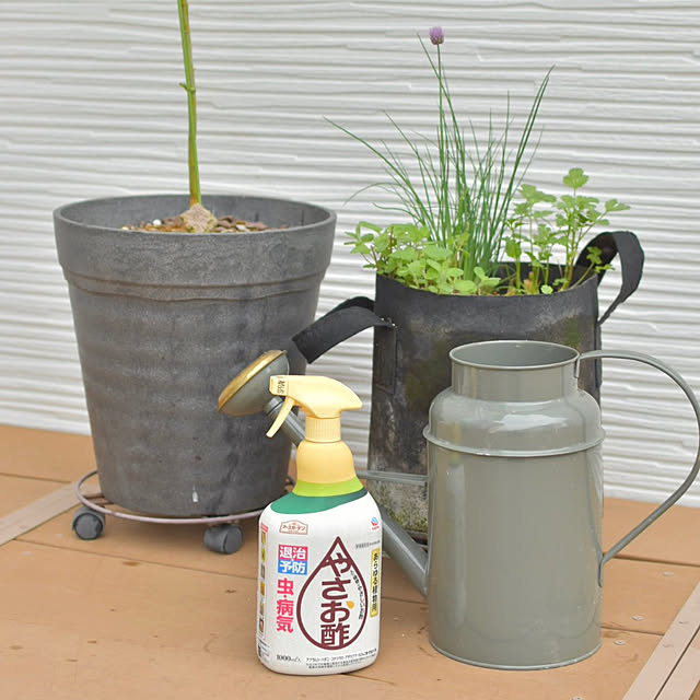 mikigumaさんの部屋