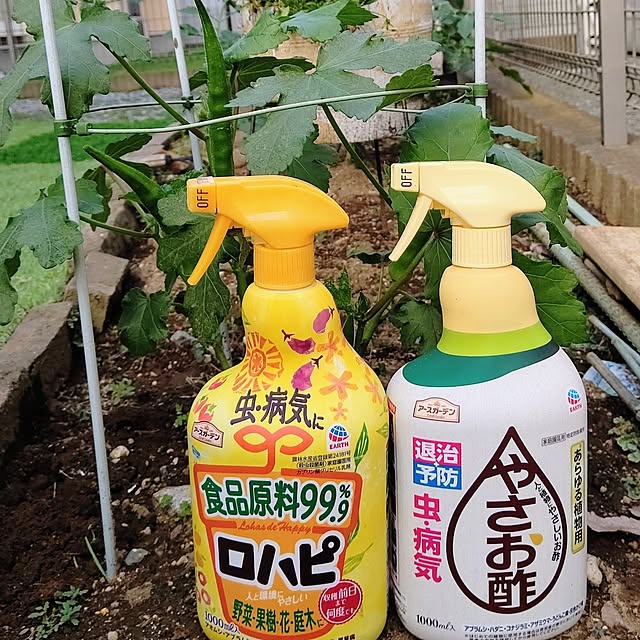 Ri-さんの実例写真