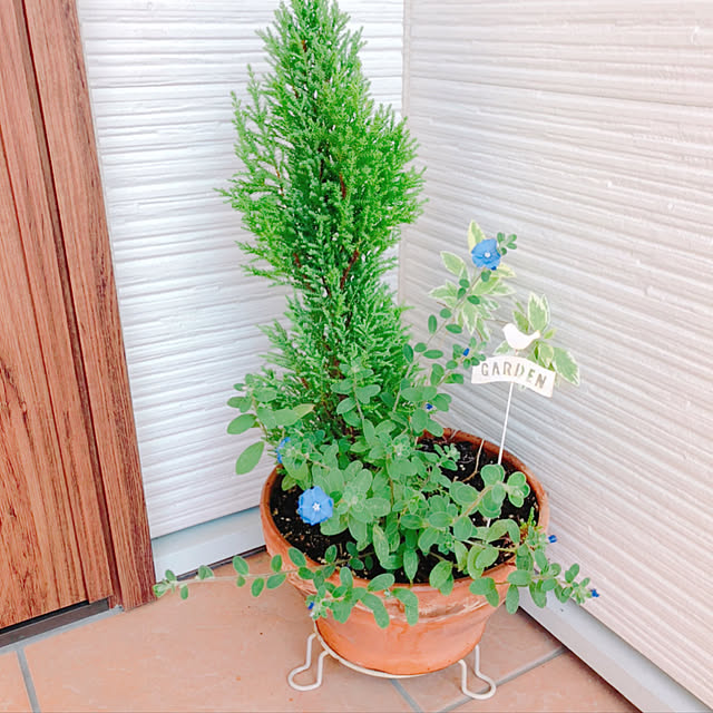 kinaさんの実例写真