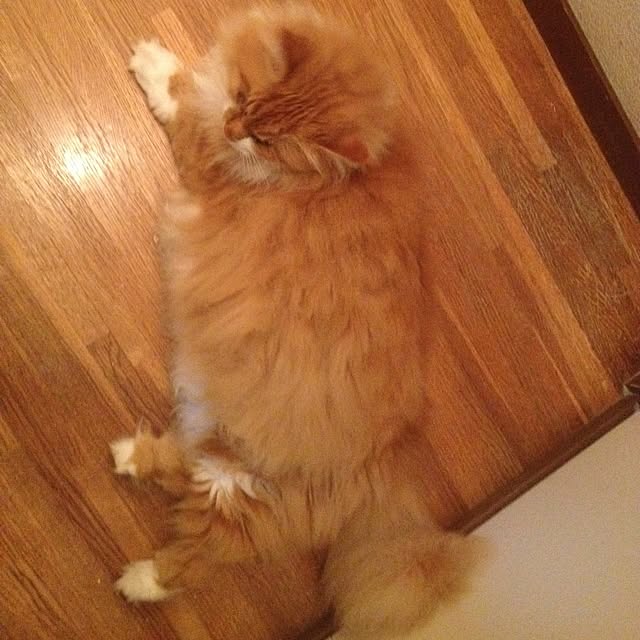 namaさんの実例写真