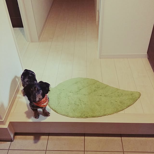 GaudisHouseさんの実例写真