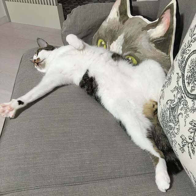 yuchiさんの実例写真