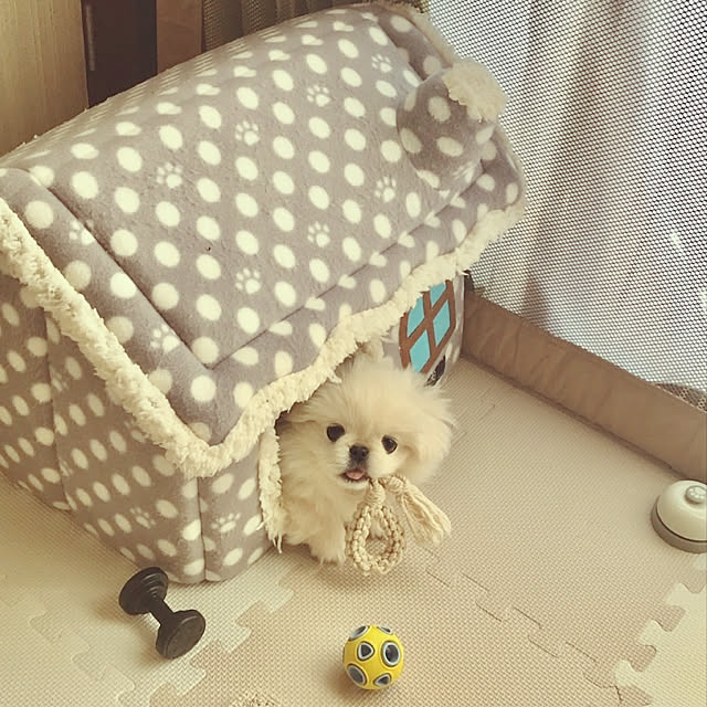 marimoさんの実例写真