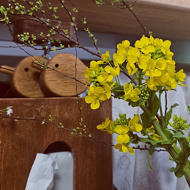 mocomocoさんの部屋