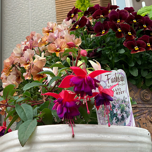 yukarin-gardenさんの実例写真