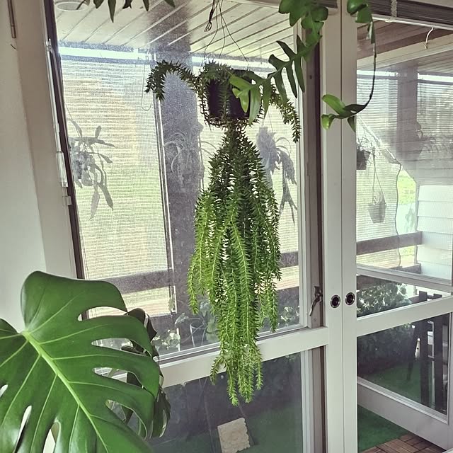 rieさんの部屋