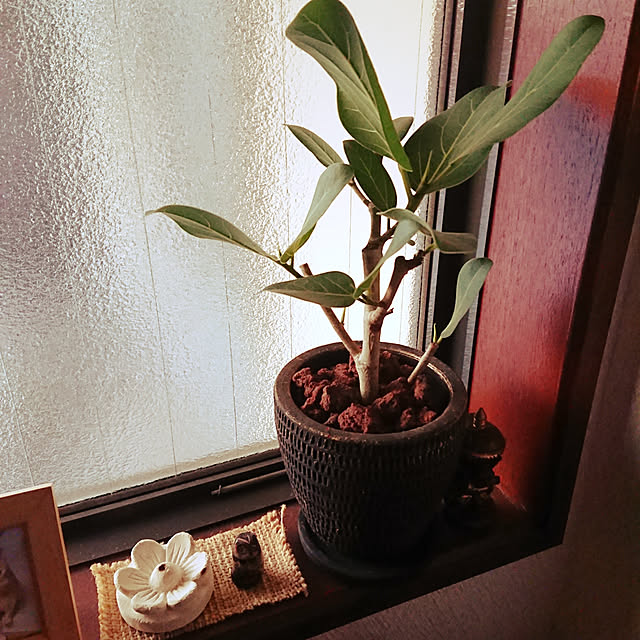rhuさんの実例写真