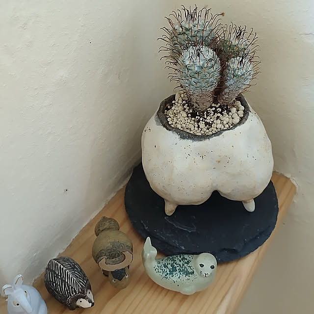 t.yumiさんの実例写真
