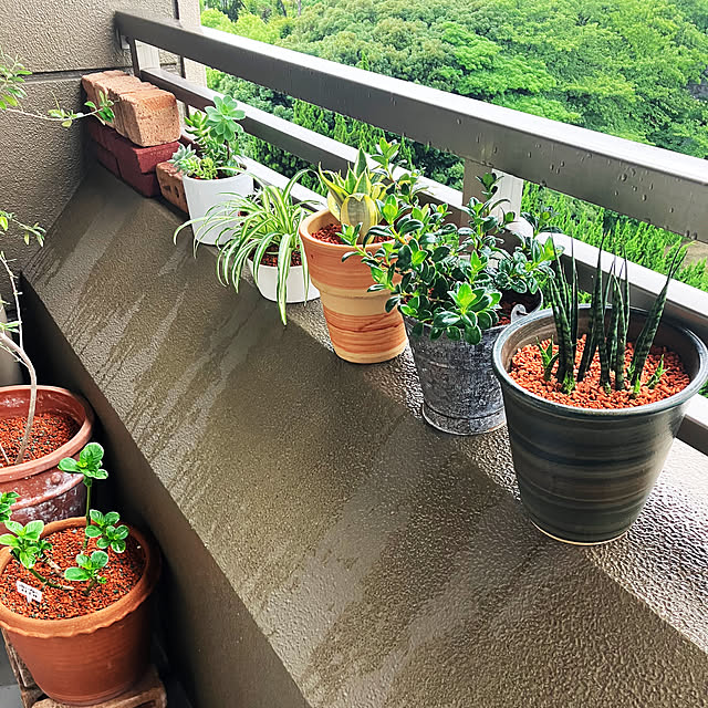 koshiregutyoさんの部屋