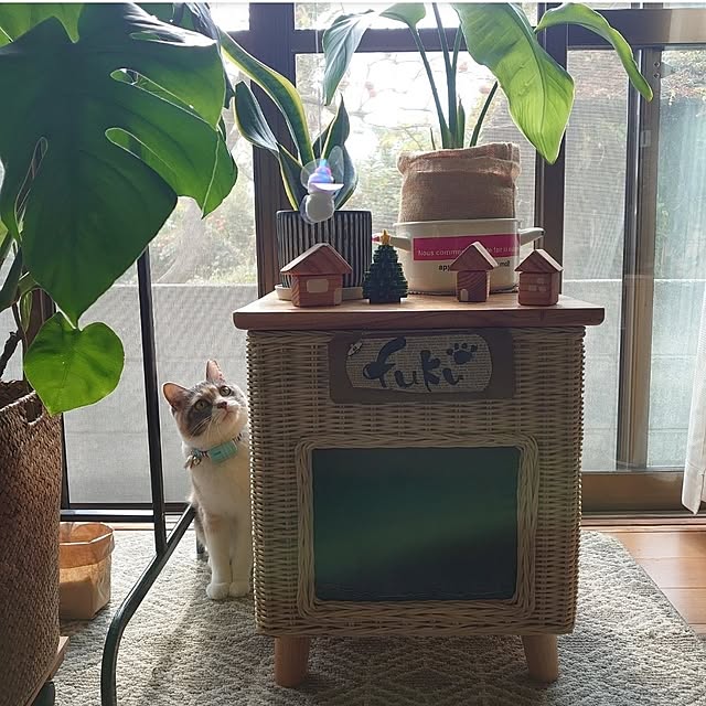fukuさんの部屋