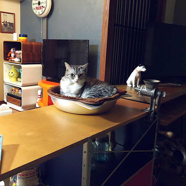Shojiさんの実例写真