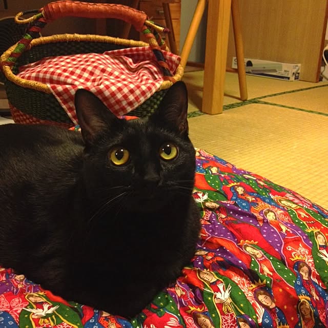 hilaさんの実例写真