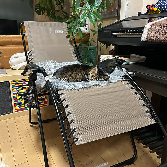 suemonta14さんの部屋