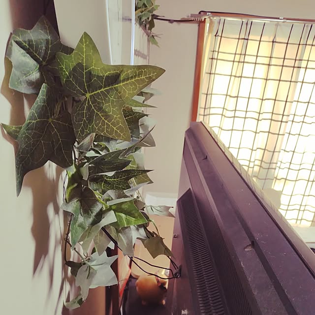 runaさんの部屋