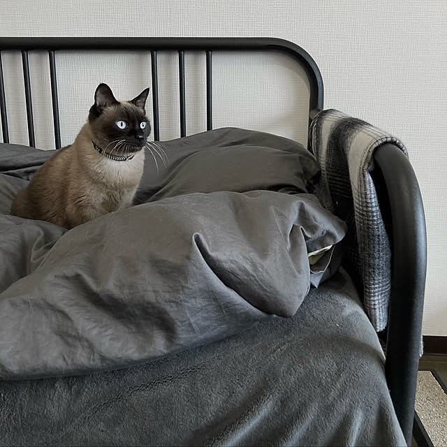 bb_chairさんの実例写真