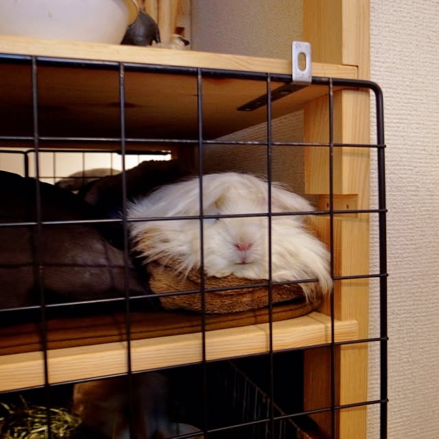 Atsushiさんの実例写真