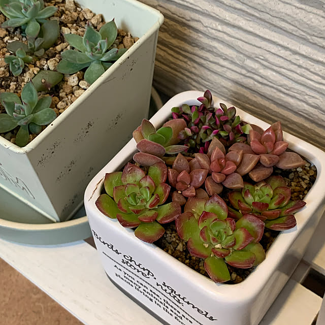 yuukiさんの部屋