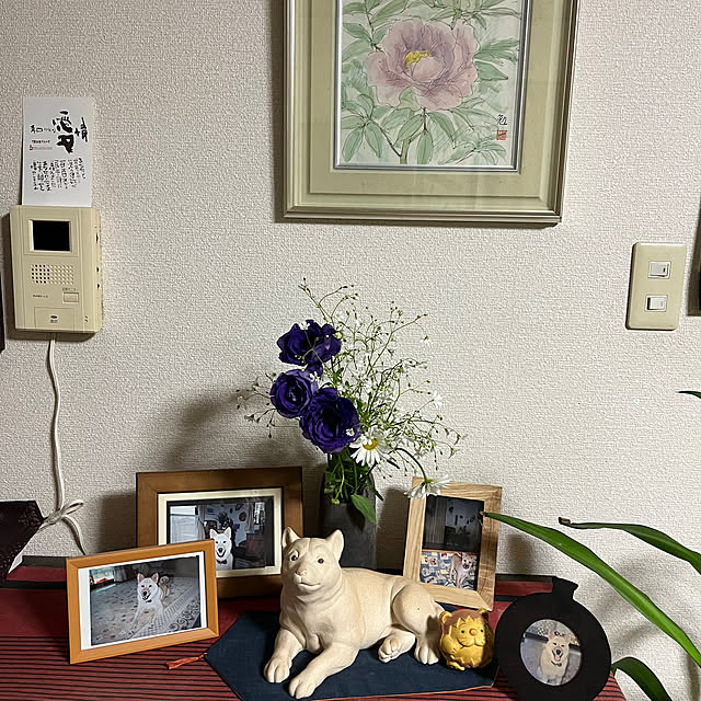 ritsukoさんの部屋