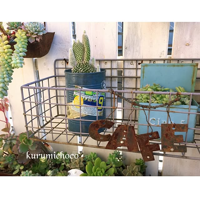 kurumichocoさんの実例写真