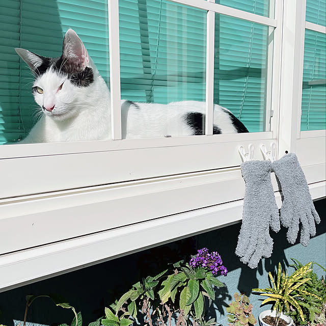 nobikoさんの実例写真
