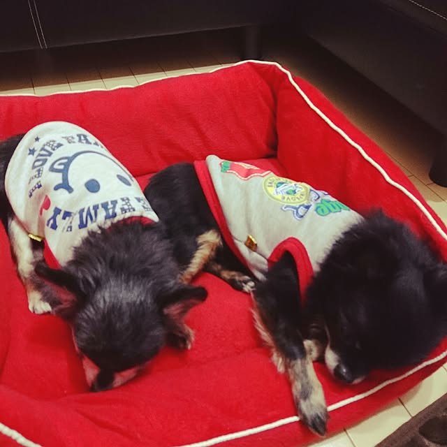 lovepeaceさんの実例写真