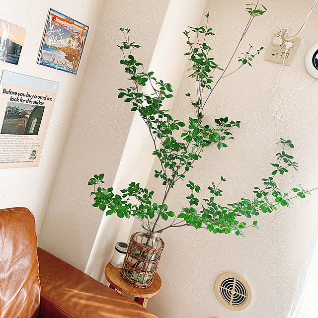 yasukoさんの部屋