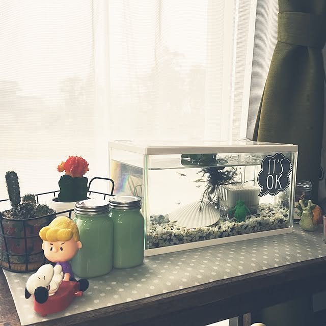 Mi-chonさんの実例写真