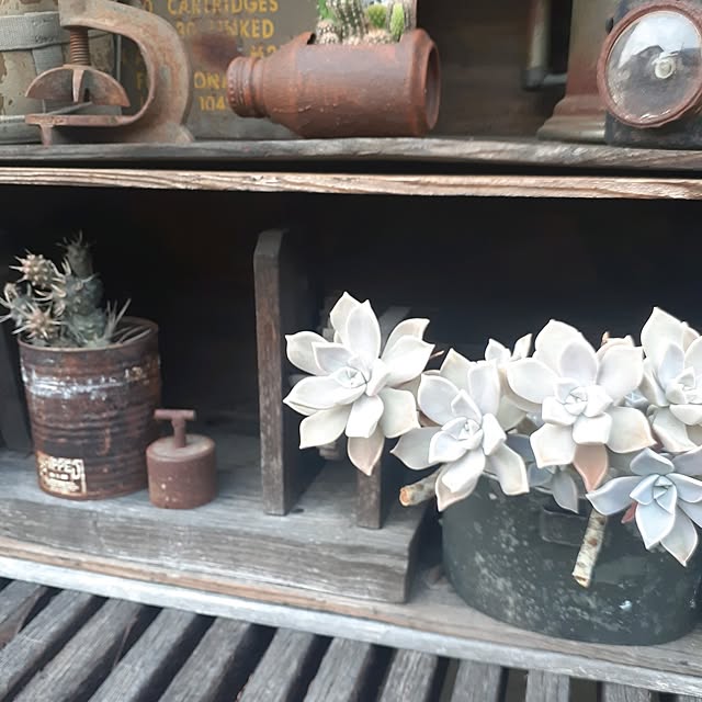 hononoさんの部屋