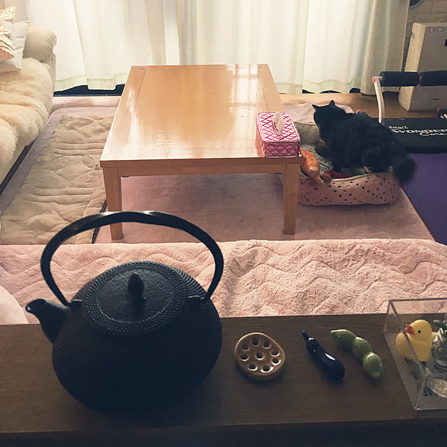 kanaさんの実例写真