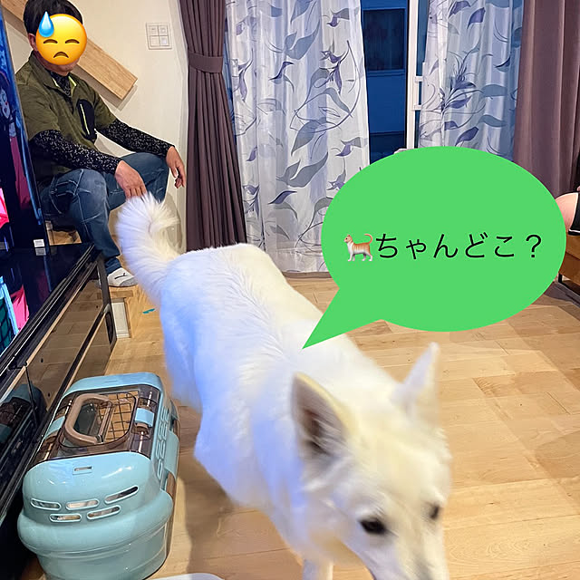 manekinekoさんの実例写真