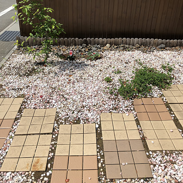 Chiiさんの実例写真