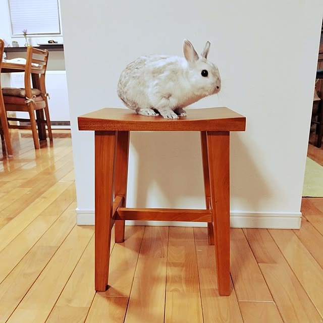 mutsuさんの部屋