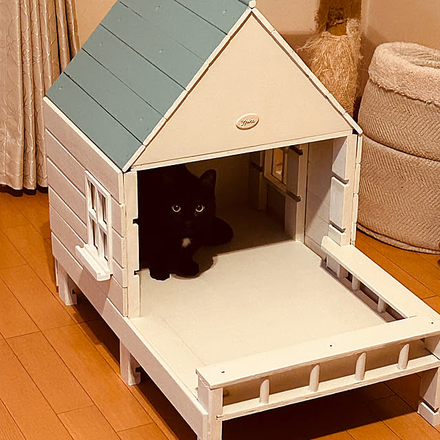 Ryoさんの実例写真
