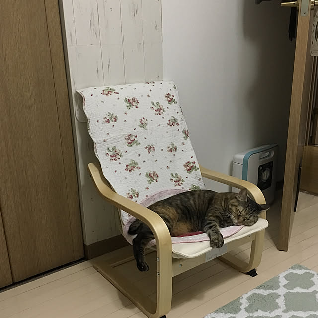 syutanさんの実例写真